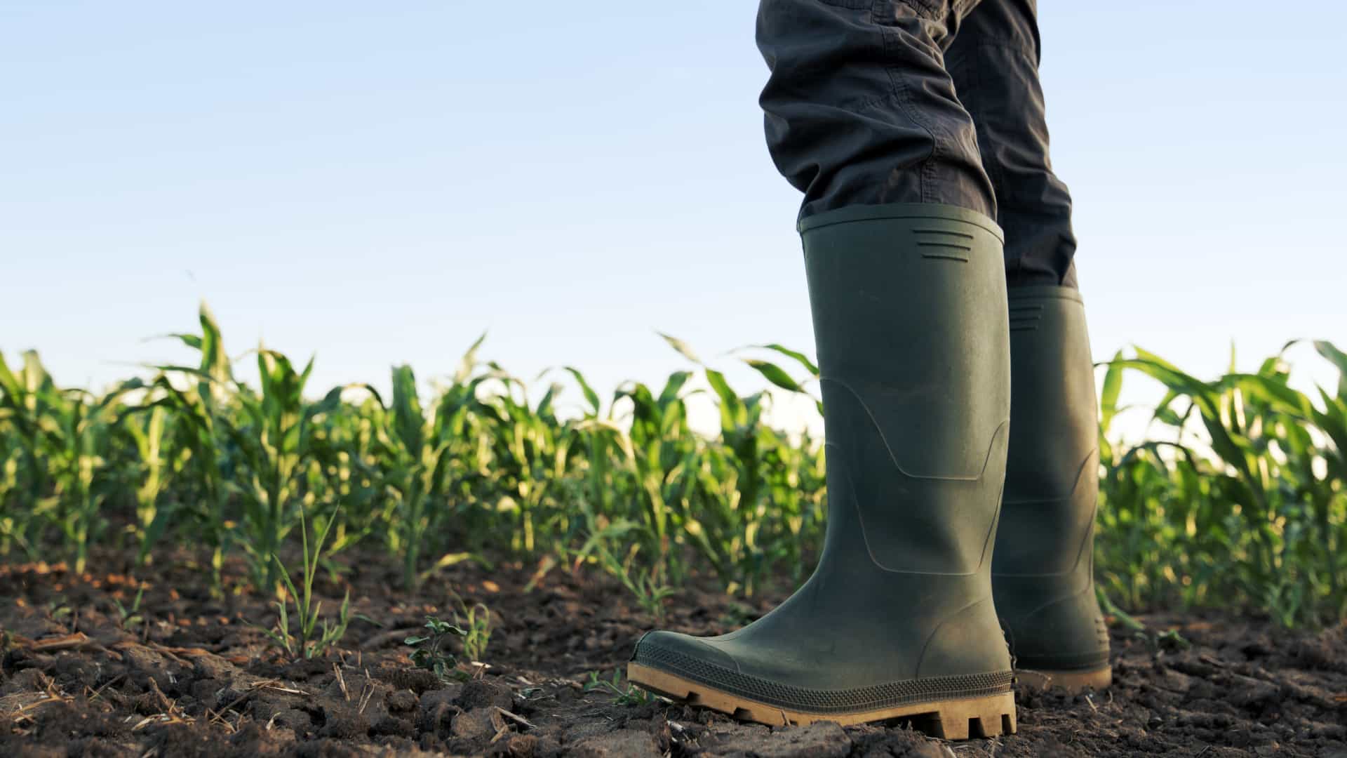 Maquinaria agrícola segunda mano