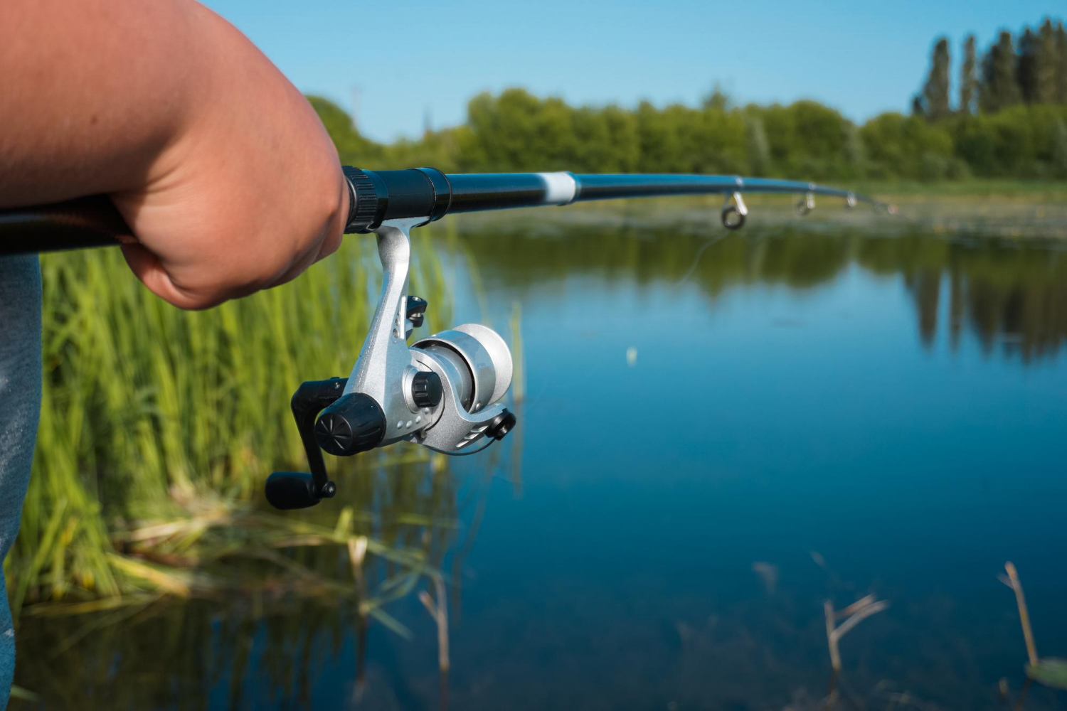 Tipos de Pesca Deportiva en Mar y en Interior que puedes Practicar