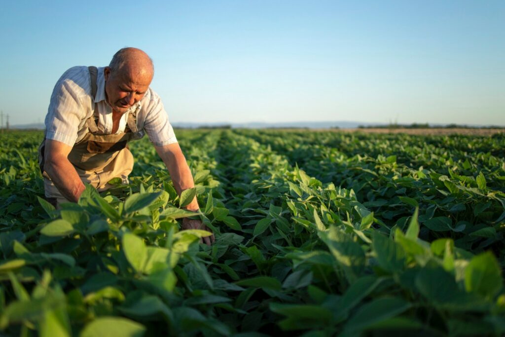 qué es la productividad agrícola