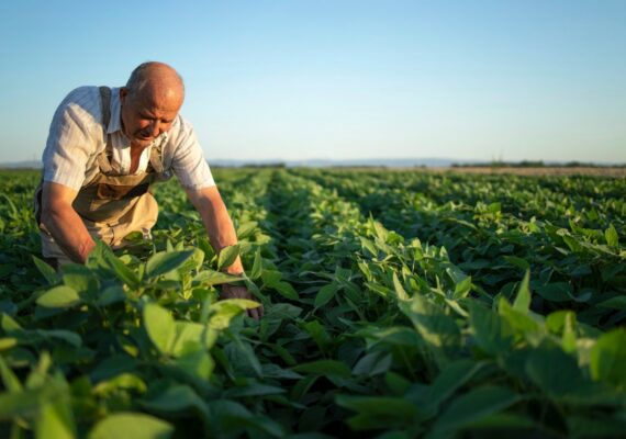 Cómo mejorar la productividad agrícola