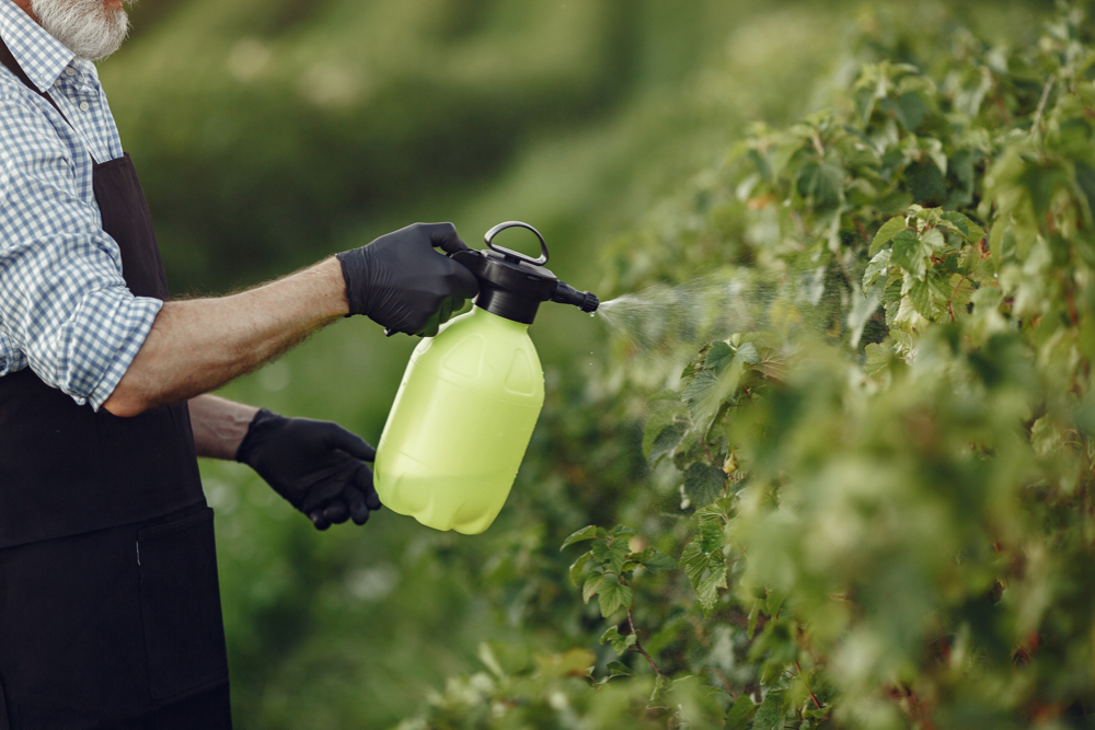 Insumos agrícolas, ¿cómo mejorar la calidad y la producción de tus cultivos?