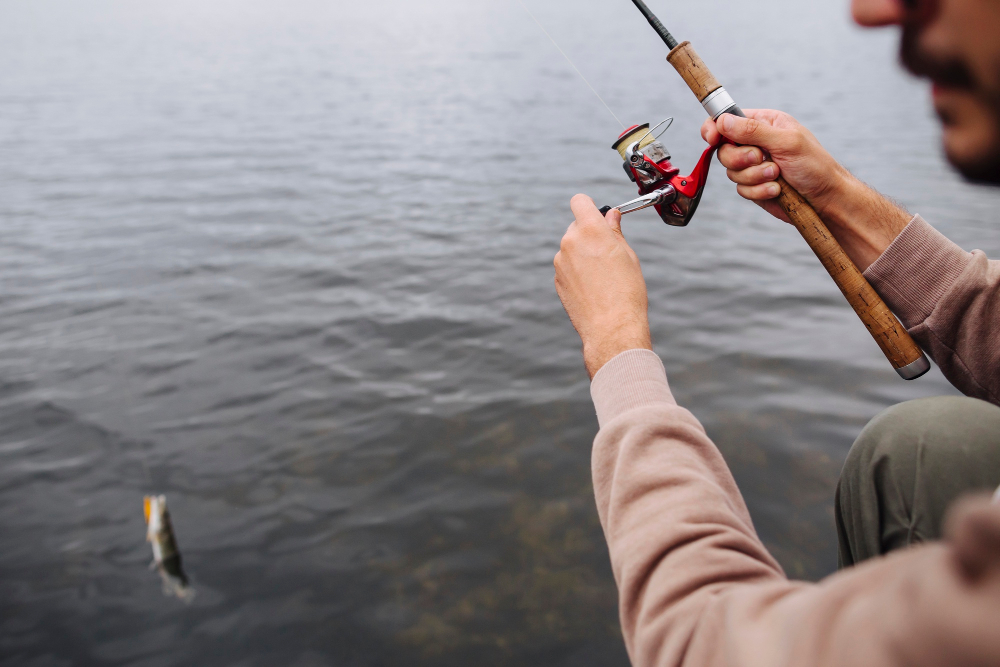 Licencia de pesca en Andalucía, ¿cómo obtenerla?