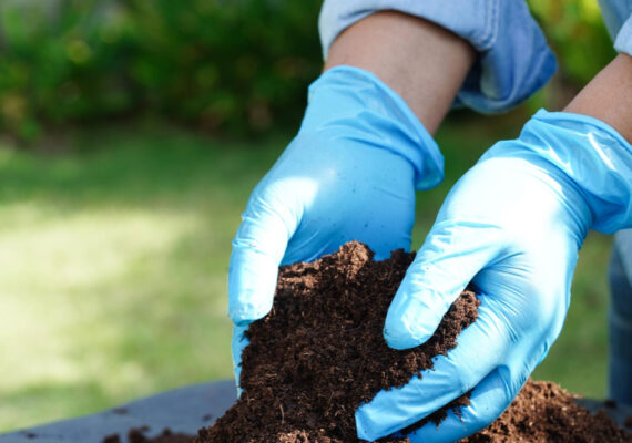 Los mejores fertilizantes orgánicos para tus cultivos