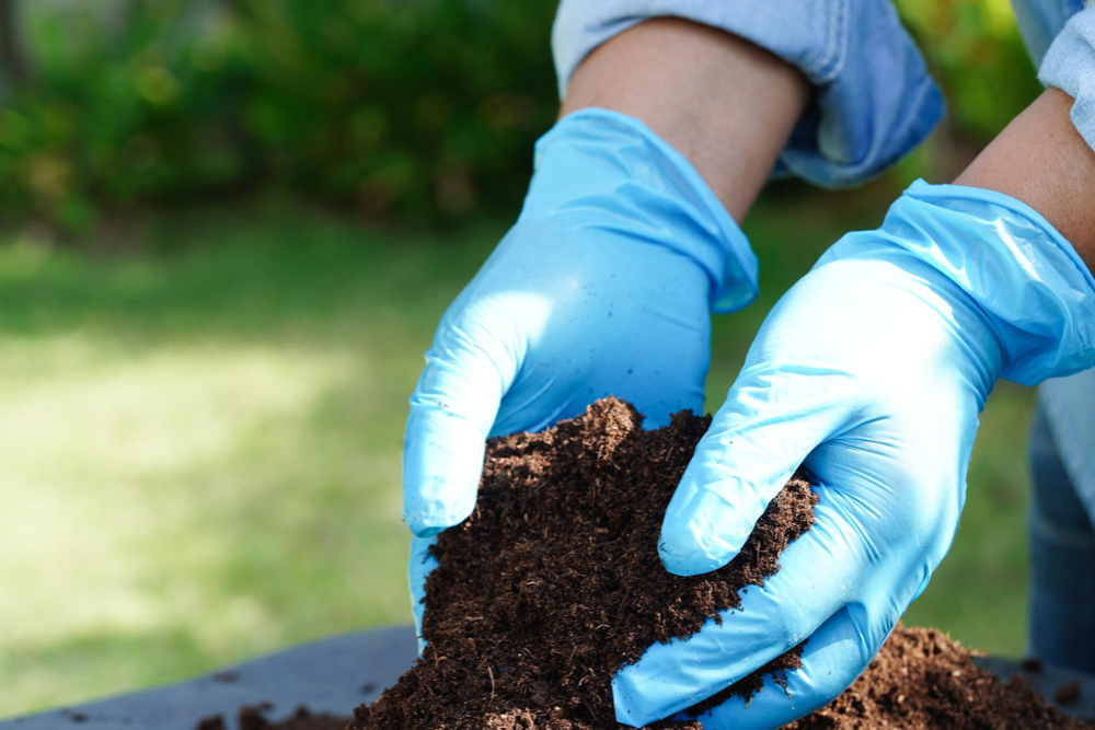 Los mejores fertilizantes orgánicos para tus cultivos