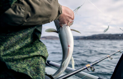 Técnicas de pesca avanzadas para maximizar capturas