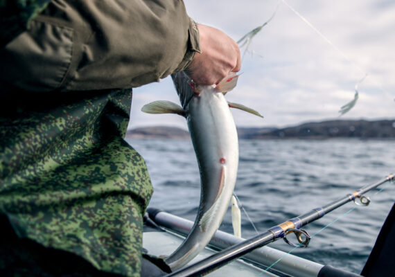 Técnicas de pesca avanzadas para maximizar capturas