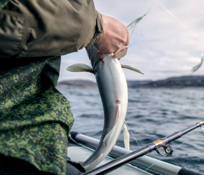 técnicas de pesca