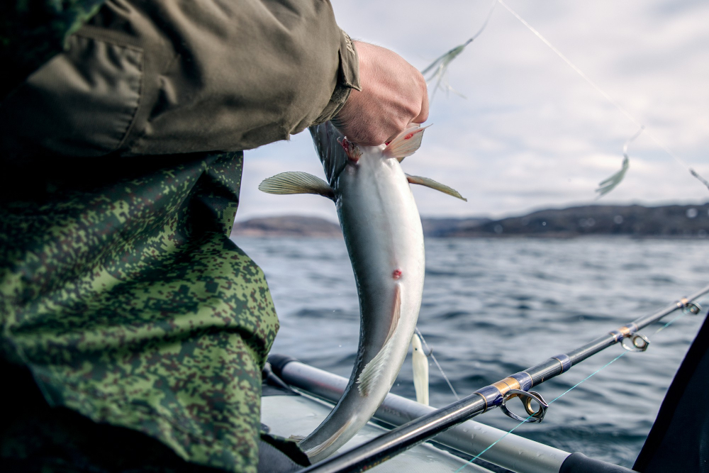 técnicas de pesca