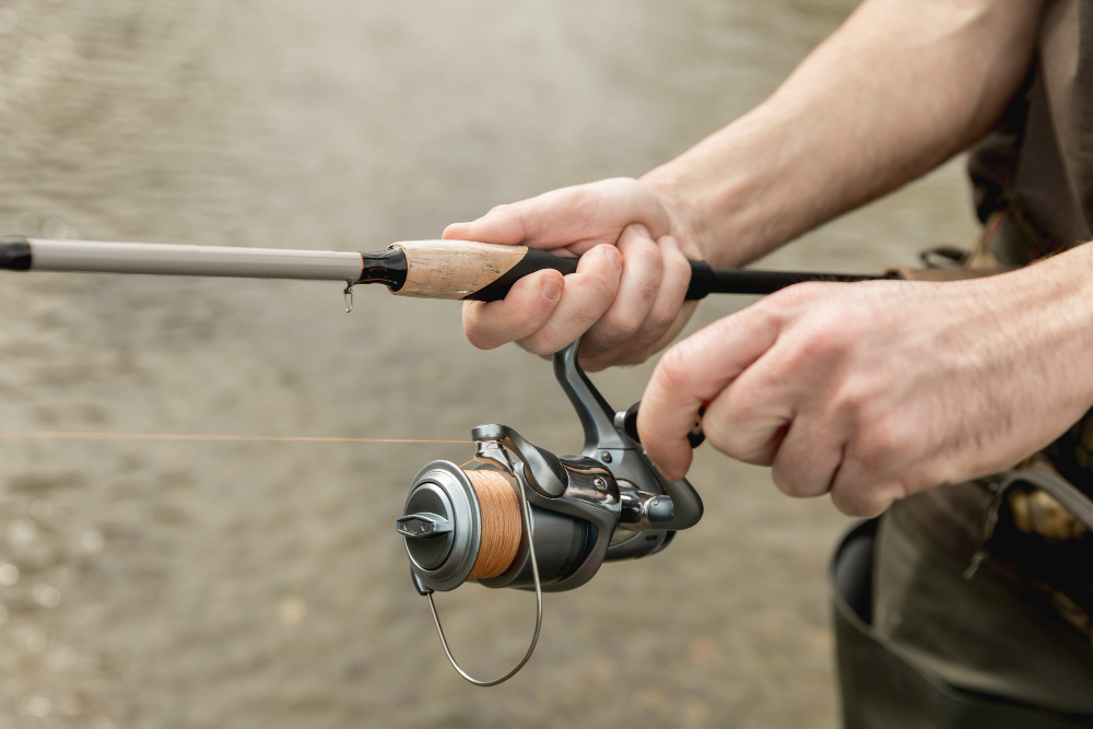 Equipo para pescar básico - La Pesca Deportiva