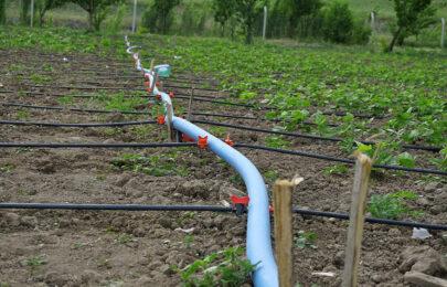 Válvulas de riego agrícola, ¿cuál elegir?