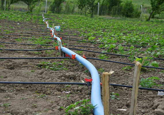 Válvulas de riego agrícola, ¿cuál elegir?