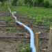 Válvulas de riego agrícola, ¿cuál elegir?