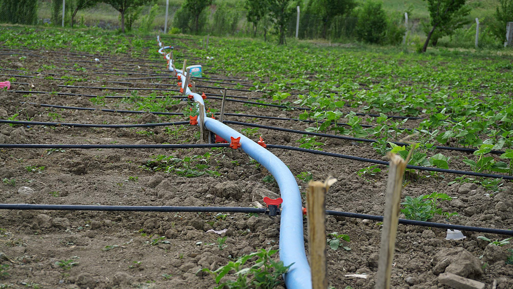 válvulas de riego agrícola