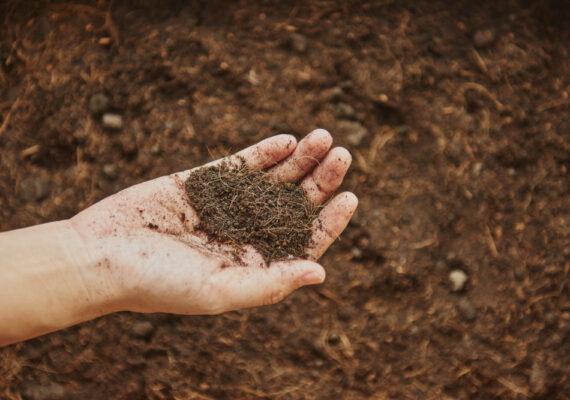 ¿Cómo mejorar la calidad del suelo de tu terreno?