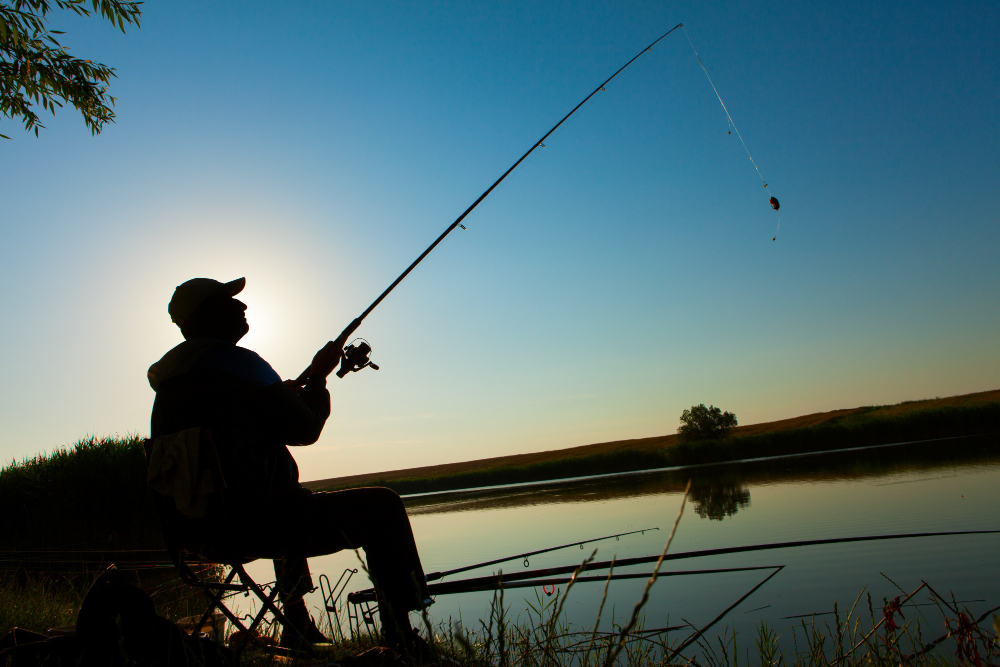 ¿Para qué sirve la línea de pesca?