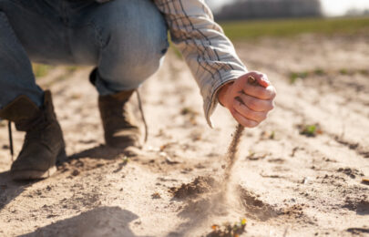 Consejos para la preparación del suelo en agricultura