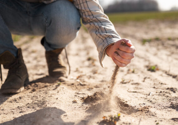 Consejos para la preparación del suelo en agricultura