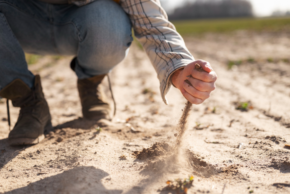 Consejos para la preparación del suelo en agricultura
