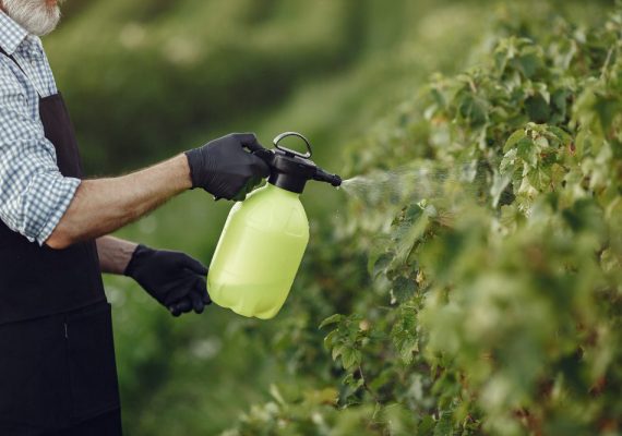 ¿Qué son los fitosanitarios y cómo aplicarlos en la agricultura?
