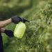 ¿Qué son los fitosanitarios y cómo aplicarlos en la agricultura?