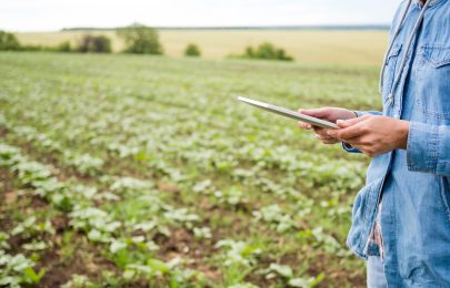 ¿Cómo mejorar el rendimiento agrícola?