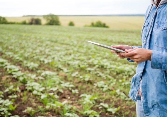 ¿Cómo mejorar el rendimiento agrícola?